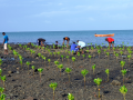 Gestion durable des zones côtières de l’océan Indien.