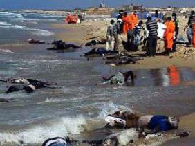 MIGRANTS MIGRANTS
